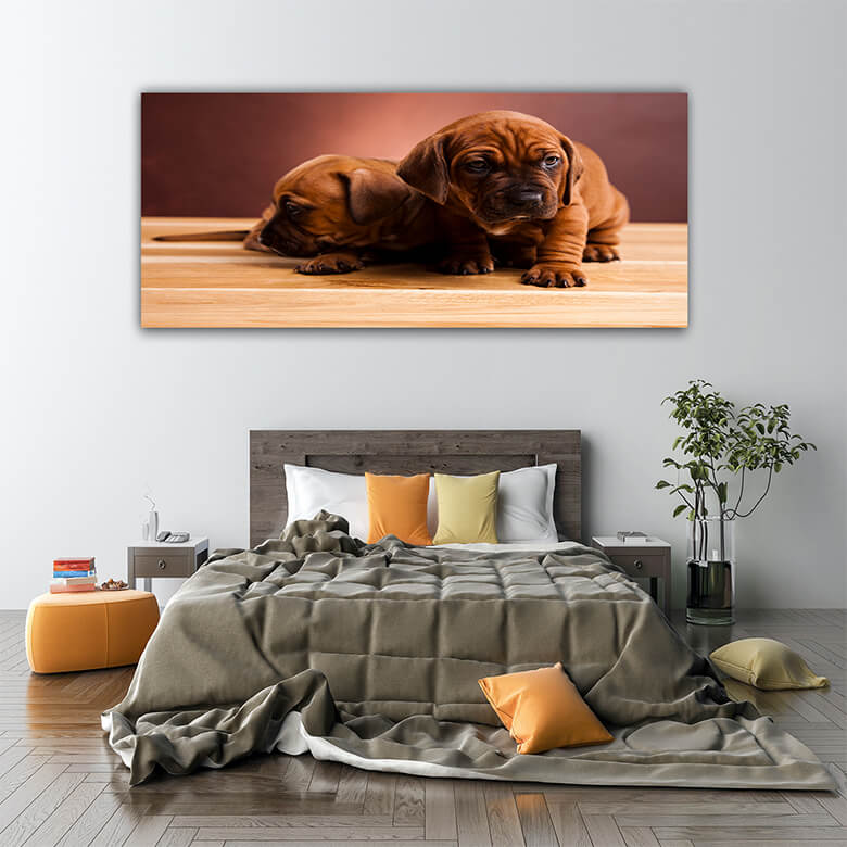 M5 Mockups 0008 Mockup 0002 17166462 puppy beautiful bright pet concept AOAY1203