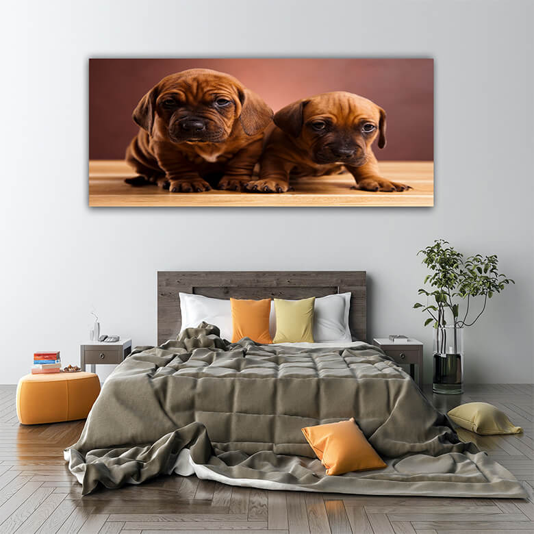 M5 Mockups 0010 Mockup 0001 17166554 dog beautiful bright pet concept AOAY1204