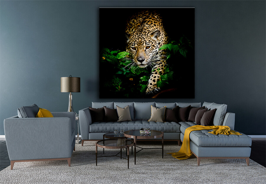 M6_0004_M__0017_PANORAMIC_0021_15722142_close-up-jaguar-portrait _AOAY1194