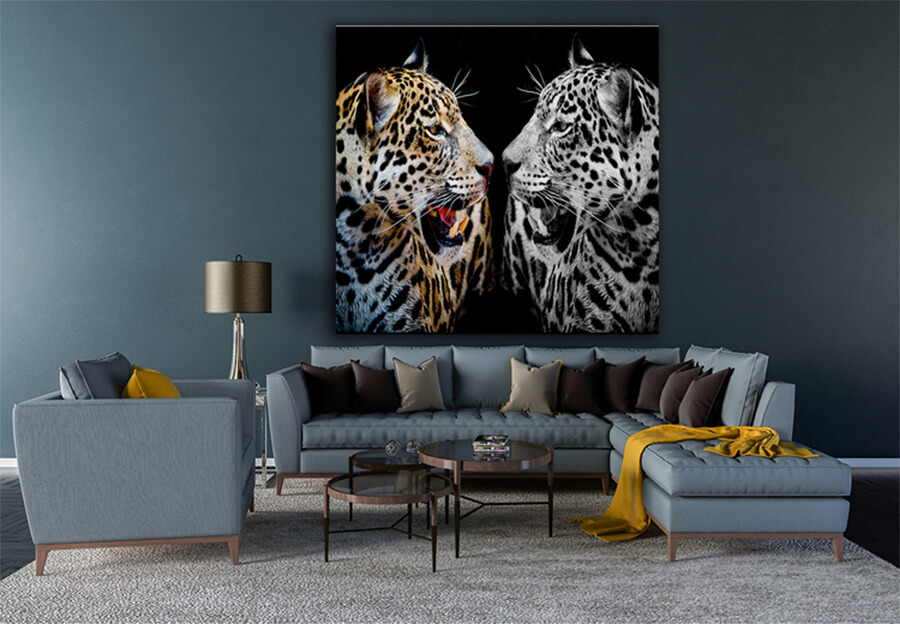 M6_0011_M__0024_PANORAMIC_0014_18913984_close-up-jaguar-portrait_AOAY1208
