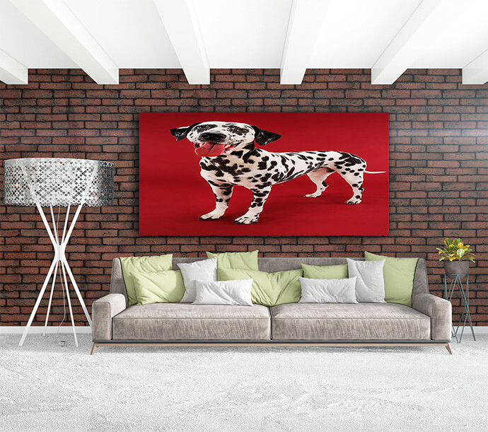 M10_Landscape_0012_Mockups1_P_0020_PRINT1_0015_9999720_dalmatian-standing-with-mouth-open-against-red-background_AOAY172