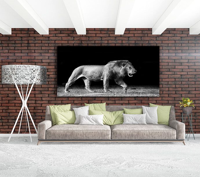 M10 Landscape 0016 Mockups1 P 0016 PRINT1 0019 8651204 lion In the Dark AOAY1725