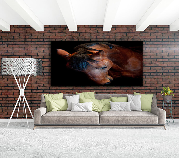 M10 Landscape 0018 Mockups1 P 0014 PRINT1 0021 5574290 russian trotter AOAY1723