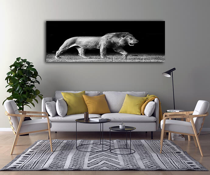 M11 Panoramic 0014 Mockups1 P 0016 PRINT1 0019 8651204 lion In the Dark AOAY1725