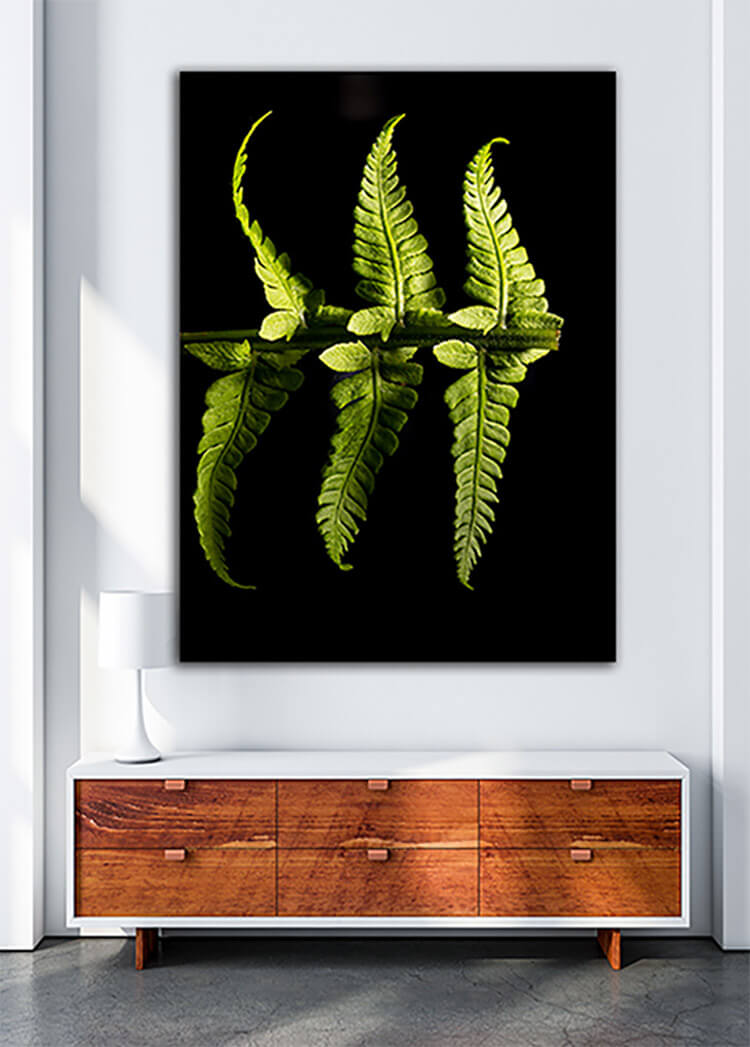 M1 0004 MOCKUP Portriate 0022 Print 0002 32549182 green fern plant AOAY1403