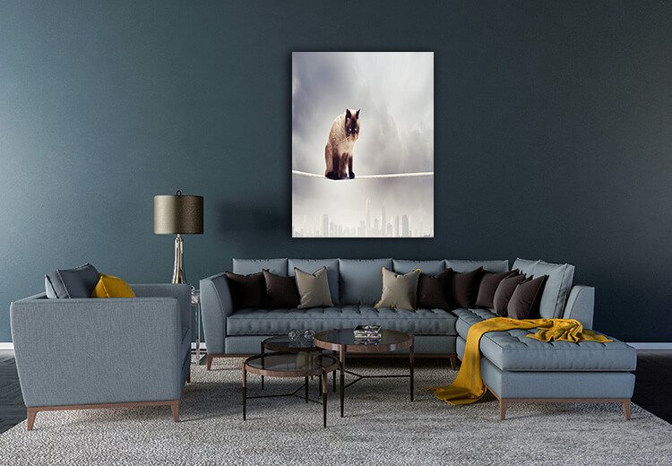 M1 0004 MOCKUP 0023 8788868 siamese cat sitting on rope AOAY1633