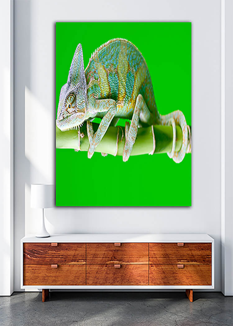M1 0005 MOCKUP Portriate 0002 Print 0022 1609175 beautiful chameleon AOAY1331