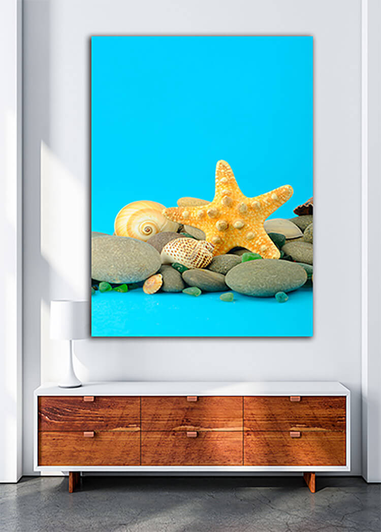 M1 0006 MOCKUP Portriate 0004 Print 0020 2128865 starfish and set of objects of the sea underwater world AOAY1125