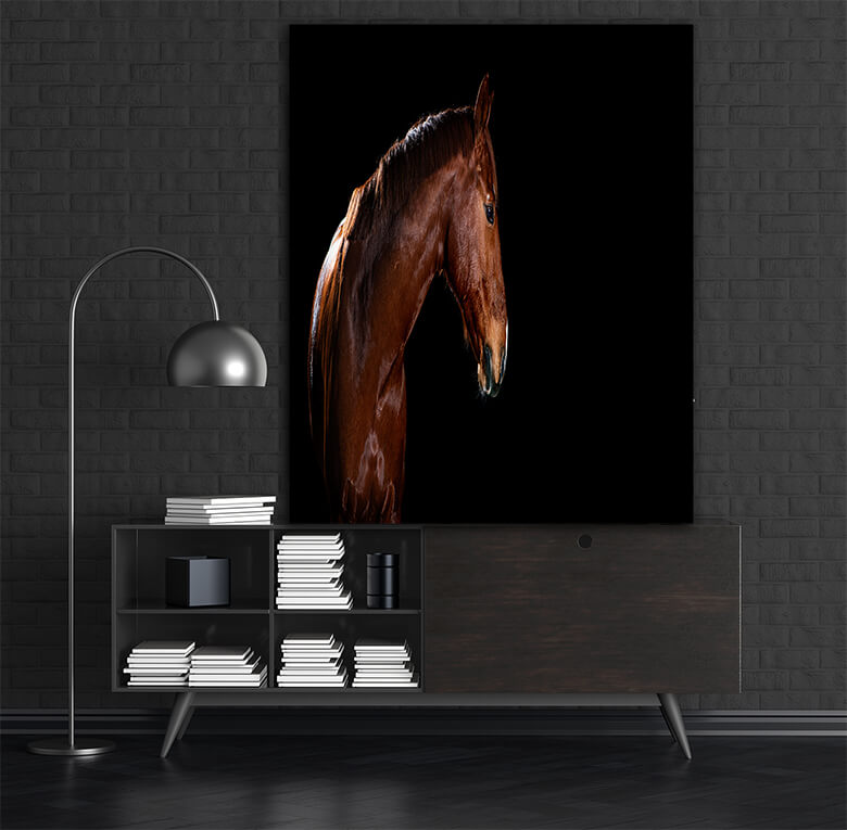 M1 0007 MOCKUPs 0015 PRINT LANDSCAPE 0025 29869230 horse portrait on black background AOAY1600