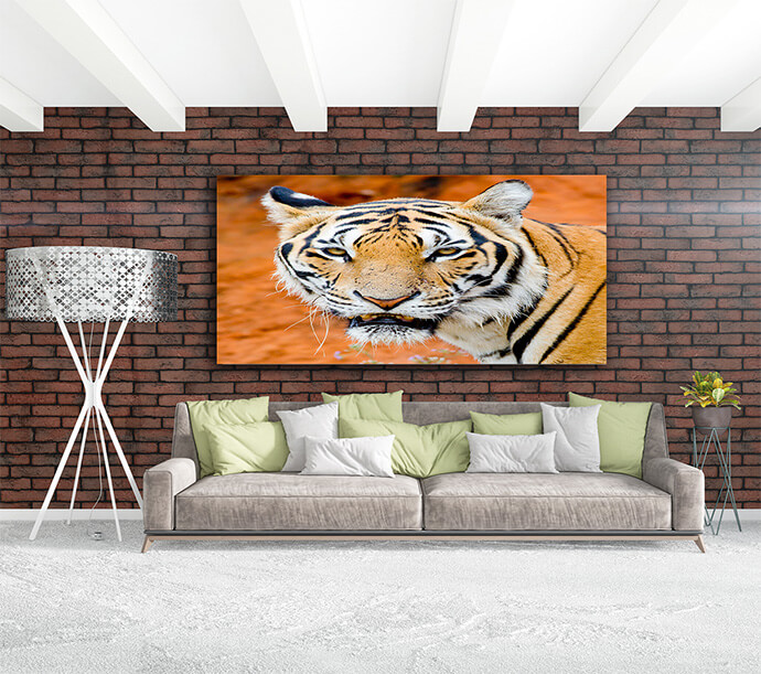 M1 0007 MOCKups 0020 Print Landscape 0027 15726562 tiger portrait of a bengal tiger AOAY1692