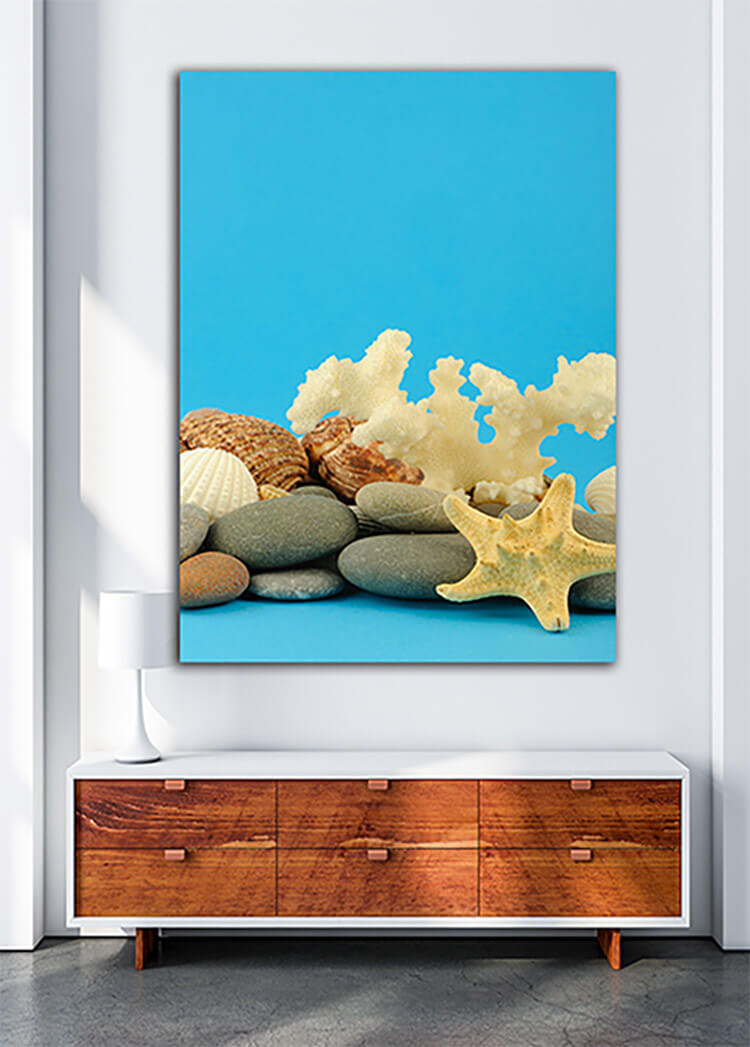 M1 0008 MOCKUP Portriate 0005 Print 0019 2128871 starfish and set of objects of the sea underwater world AOAY1127
