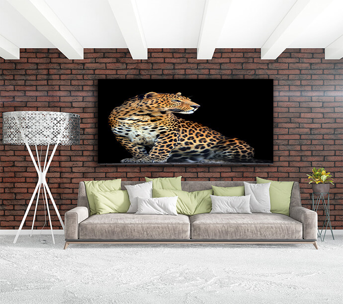 M1 0011 MOCKups 0016 Print Landscape 0002 22676022 leopard portrait on dark background AOAY1717