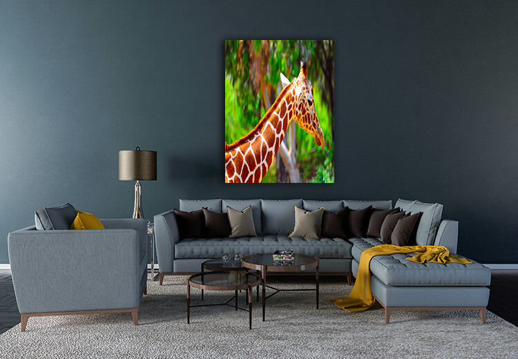 M1 0013 MOCKUP 0032 465724 giraffe AOAY1622
