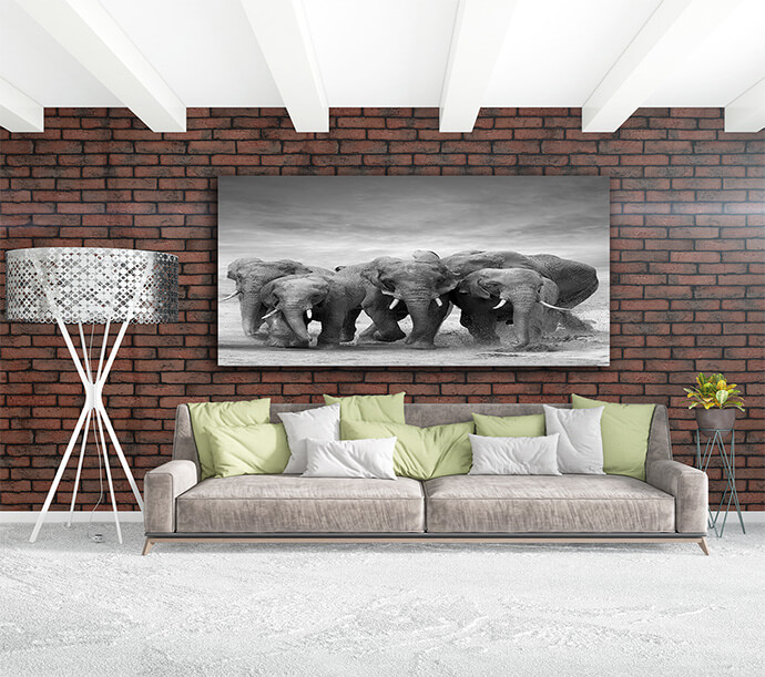 M1 0018 MOCKups 0009 Print Landscape 0009 22675822 elephant AOAY1710