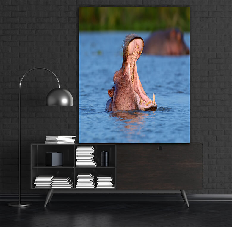 M1 0019 MOCKUPs 0037 PRINT LANDSCAPE 0003 22676436 hippo on lake in africa AOAY1583
