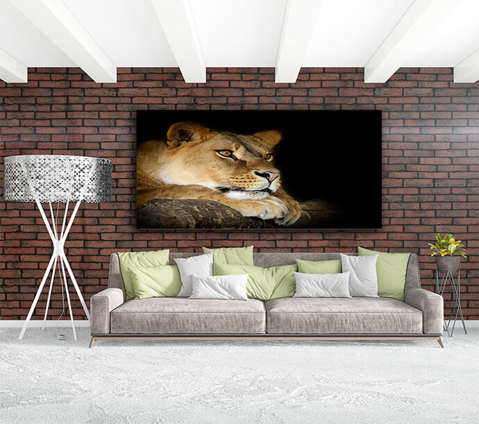 M1 0020 MOCKups 0006 Print Landscape 0012 22675756 lion on dark AOAY1707