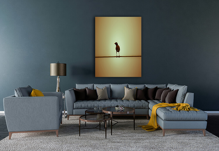 M1 0021 MOCKUP 0005 24921704 common myna bird on electric wire AOAY1652