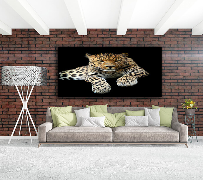 M1 0024 MOCKups 0002 Print Landscape 0016 22675724 leopard AOAY1703