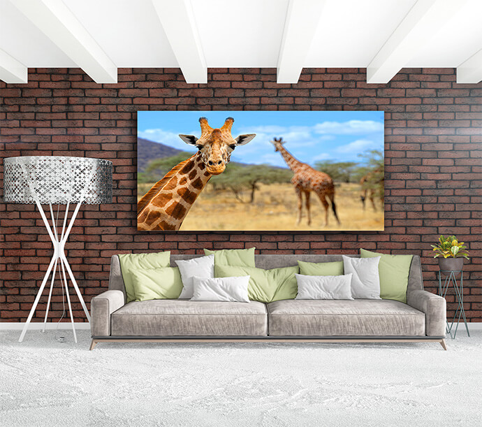 M1 0027 MOCKups 0028 Print Landscape 0019 22675664 giraffe AOAY1700