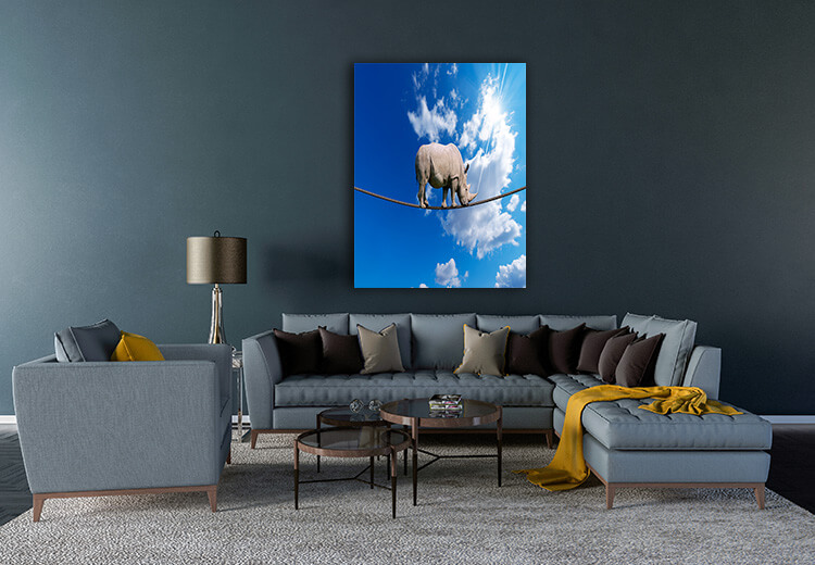 M1 0030 MOCKUP 0013 9762504 rhino walking on rope AOAY1643