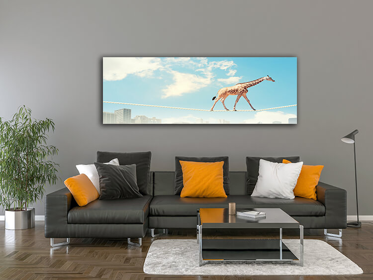 M2 0002 MOCKUP 0021 8814212 giraffe walking on rope AOAY1635