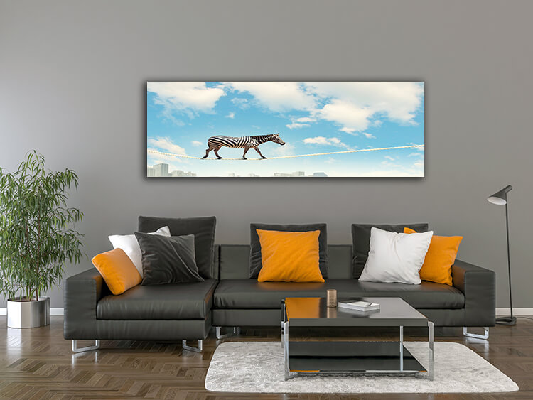 M2 0003 MOCKUP 0020 8814616 zebra walking on rope AOAY1636
