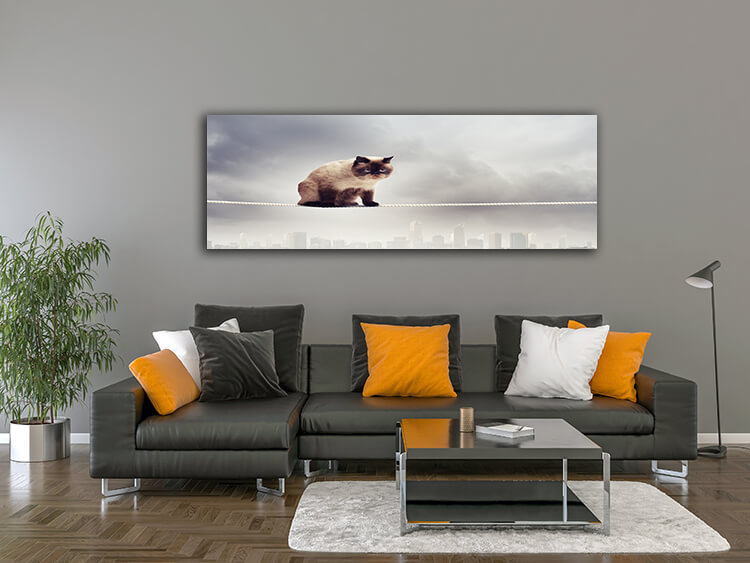 M2 0004 MOCKUP 0023 8788868 siamese cat sitting on rope AOAY1633