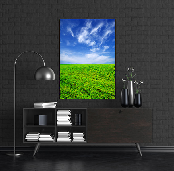 M2 0006 MOCKups 0025 5409092 field AOAY1665