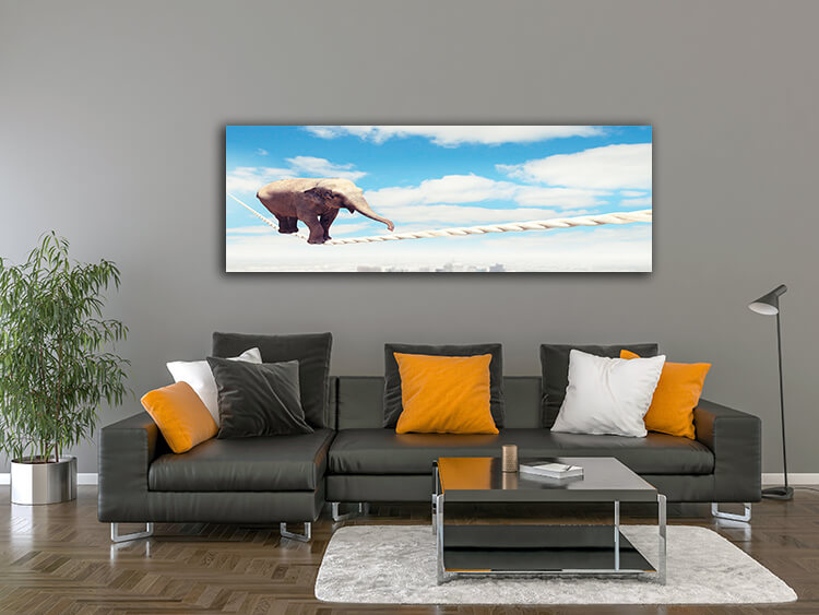 M2 0009 MOCKUP 0028 8780780 elephant walking on rope AOAY1628