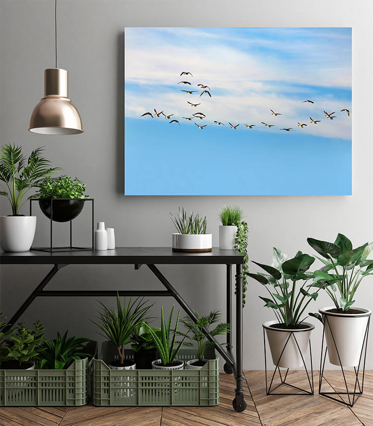 M2 0013 MOCKUPs 0023 PRINT LANDSCAPE 0017 3610671 flying group of geese AOAY1570