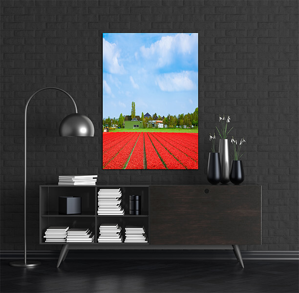M2 0014 MOCKups 0003 29287642 field of red tulips AOAY1686
