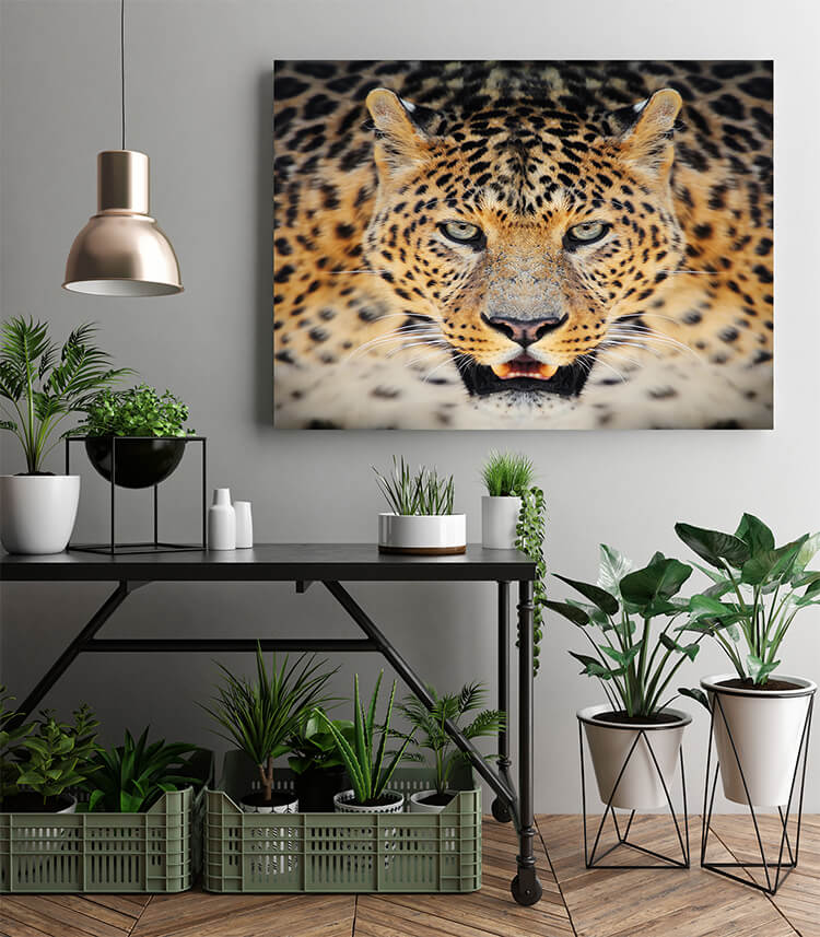 M2 0017 MOCKUPs 0031 PRINT LANDSCAPE 0009 22675704 leopard AOAY1578