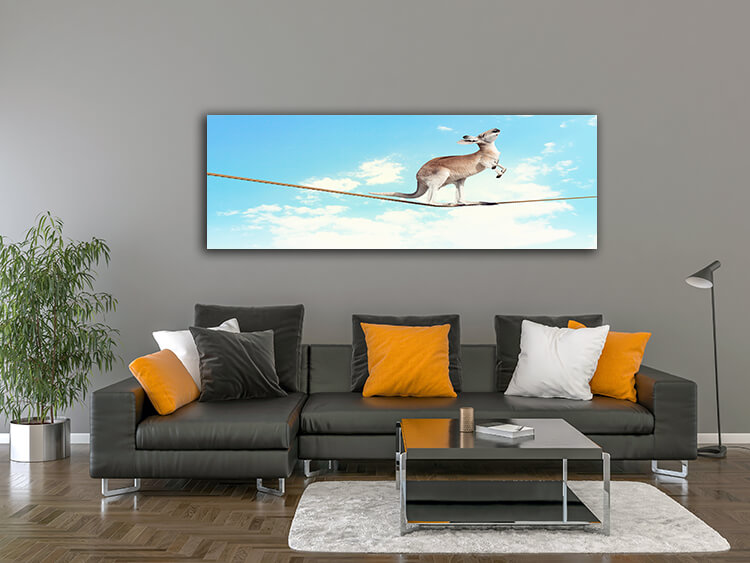 M2 0018 MOCKUP 0018 8982204 kangaroo walking on rope AOAY1638