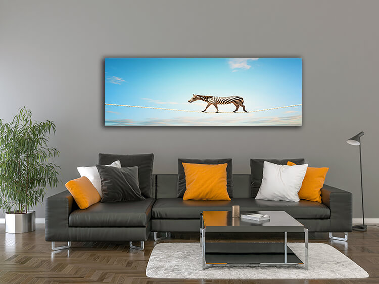 M2 0021 MOCKUP 0015 9049060 zebra walking on rope AOAY1641