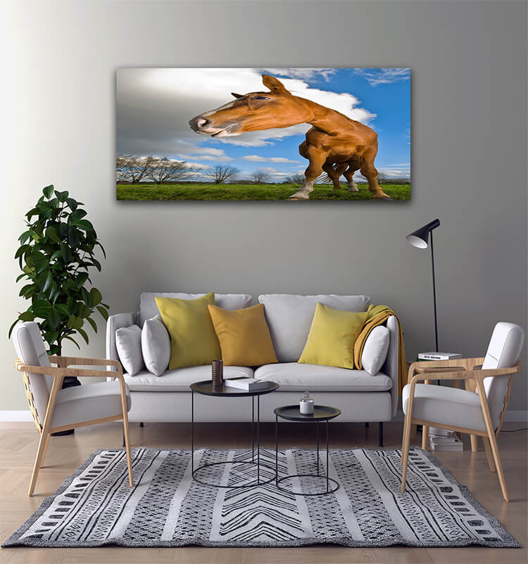 M2 0021 Mockup 0023 1316957 horse looking to the left wide angle AOAY1327