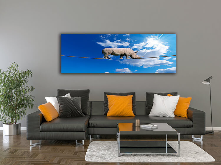 M2 0023 MOCKUP 0013 9762504 rhino walking on rope AOAY1643