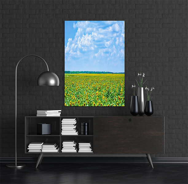 M2 0023 MOCKups 0008 26392046 sunflowers field in bulgaria AOAY1681