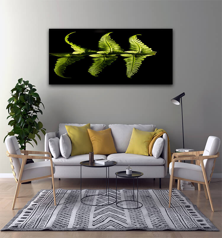 M2 0023 Mockup 0002 32549182 green fern plant AOAY1403