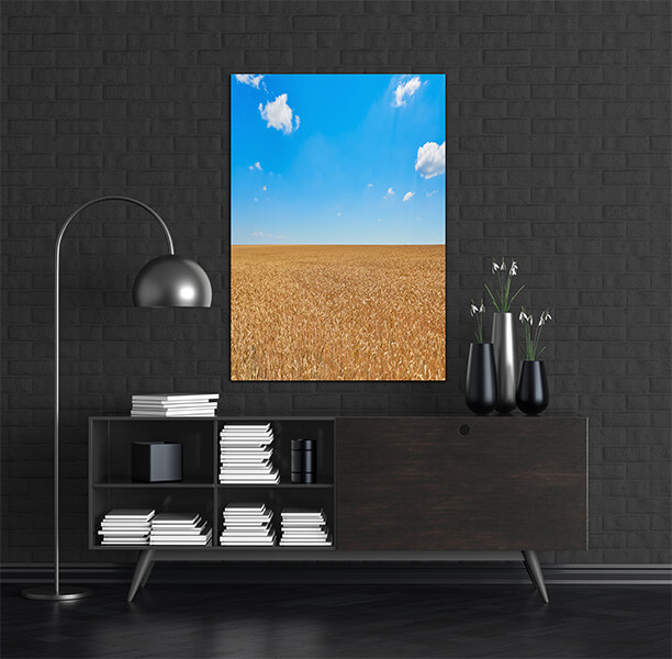 M2 0024 MOCKups 0009 26236048 field of rye AOAY1680