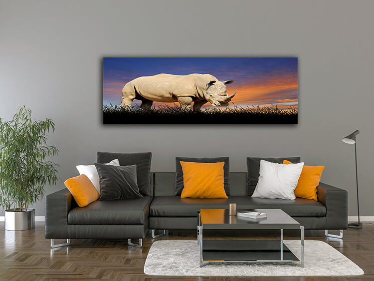 M2 0030 MOCKUP 0007 22639478 rhino on the background of sunset sky AOAY1650