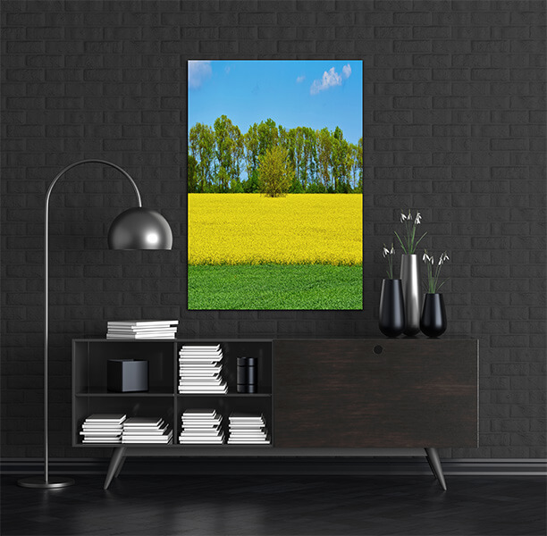 M2 0031 MOCKups 0012 23377620 field of colza and wheat AOAY1677