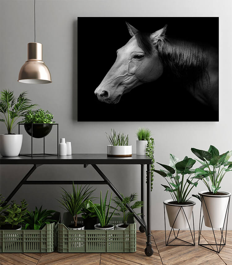 M2 0034 MOCKUPs 0027 PRINT LANDSCAPE 0013 12757352 russian trotter AOAY1574