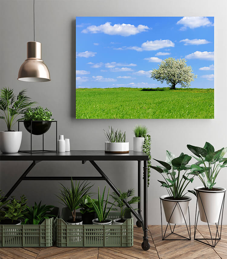 M2 0037 MOCKUPs 0030 PRINT LANDSCAPE 0010 22675674 blossoming tree in spring AOAY1577