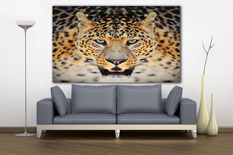 M3 0000 MOCKUPs 0031 PRINT LANDSCAPE 0009 22675704 leopard AOAY1578