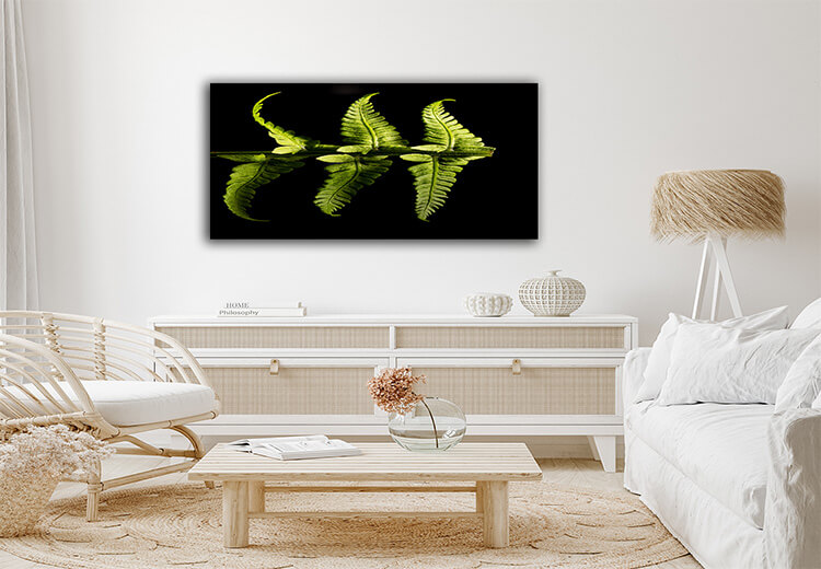 Green Fern Plant AOAY1403
