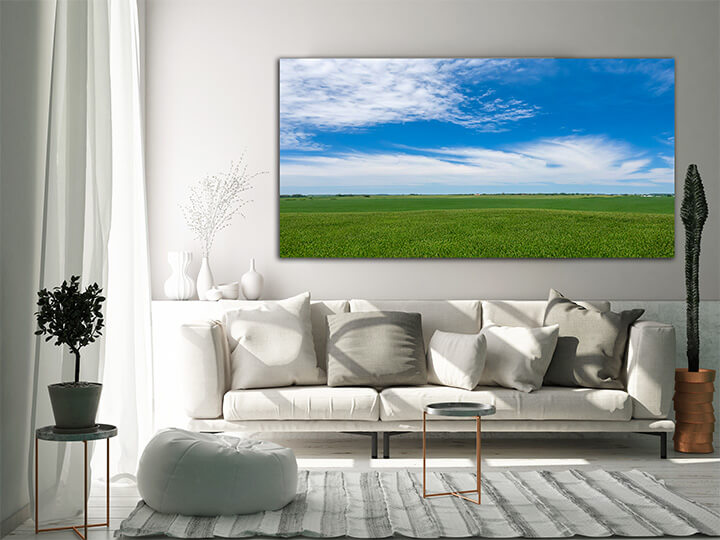 M3 0003 MOCKups 0000 33213558 view of a green field of young corn in the american midwest AOAY1689