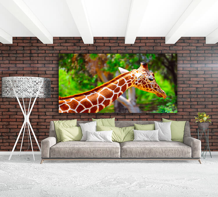 M3 0004 MOCKUP 0032 465724 giraffe AOAY1622