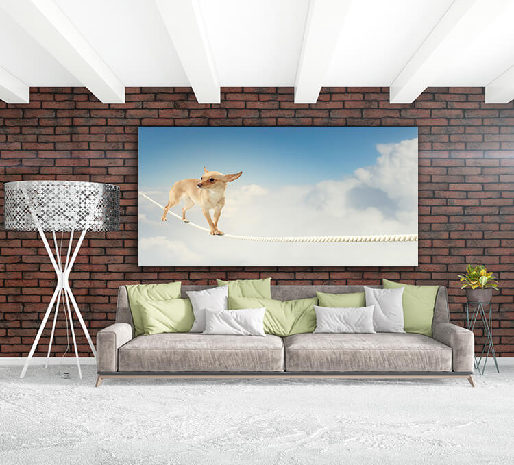 M3 0007 MOCKUP 0029 8780698 dog balancing on rope AOAY1627