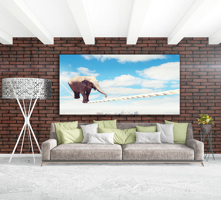 M3 0008 MOCKUP 0028 8780780 elephant walking on rope AOAY1628