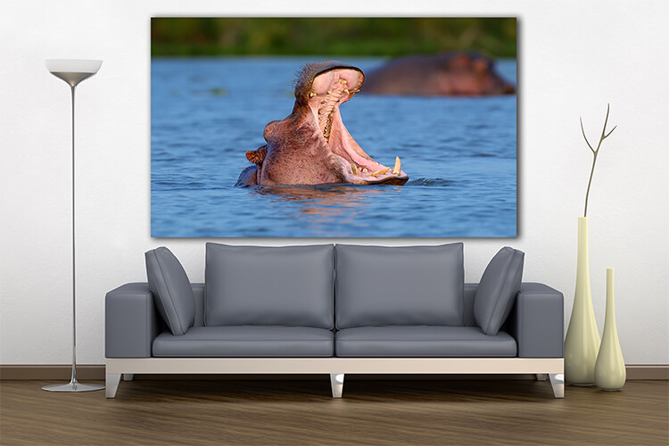 M3 0009 MOCKUPs 0037 PRINT LANDSCAPE 0003 22676436 hippo on lake in africa AOAY1583